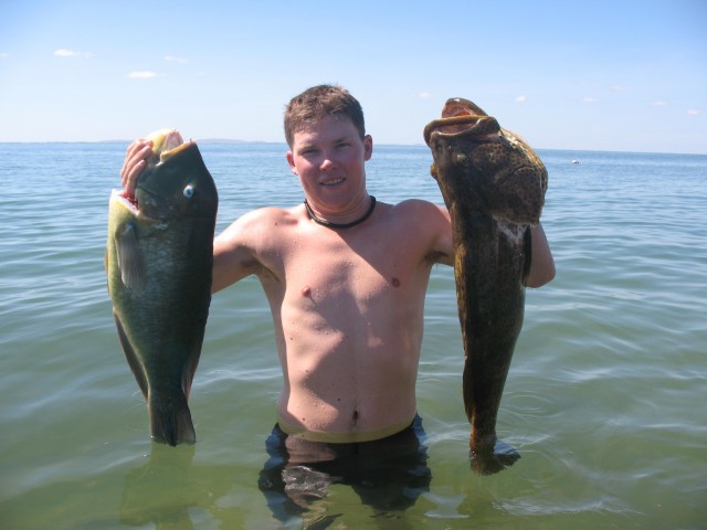 67cm Blackspot and 77cm Cod 67cm Blackspot and 77cm Cod